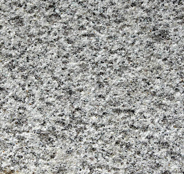 1728969687975864.jpg 1-160G1133504319.jpg