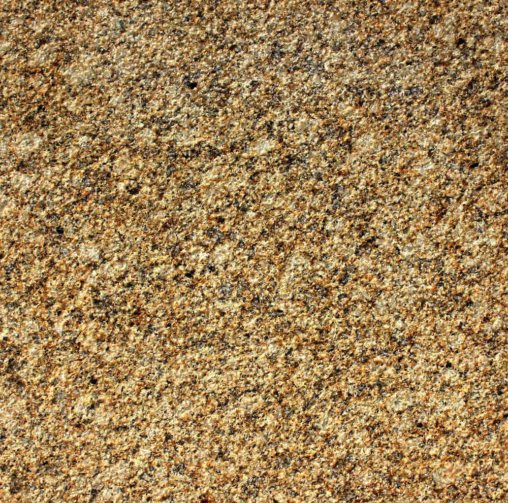 �S���@����֦��